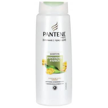 PANTENE Шампунь Слияние с природой Oil Therapy 250мл